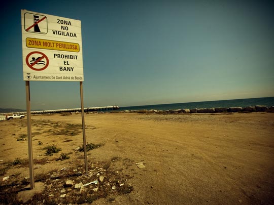  ALBERT JODAR _ tiburón 4 