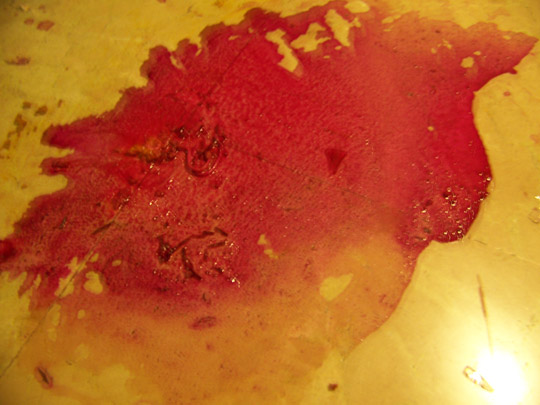  LAURA NOGUÉS [Alicante] _ 28 días 