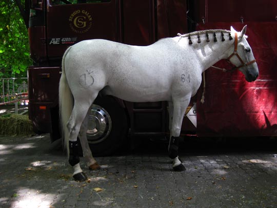  MIKEL CABRERIZO [Pamplona-Navarra] _ 61 
