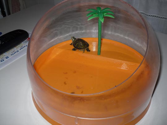  DAVID MARTÍN [Bilbao] _ 9 días, 7 noches 