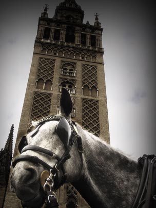  ALFONSO LUCENA [Córdoba] _ a caballo por sevilla 