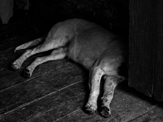  LIDIA MORENO [Alicante] _ a veces pierdes la cabeza 