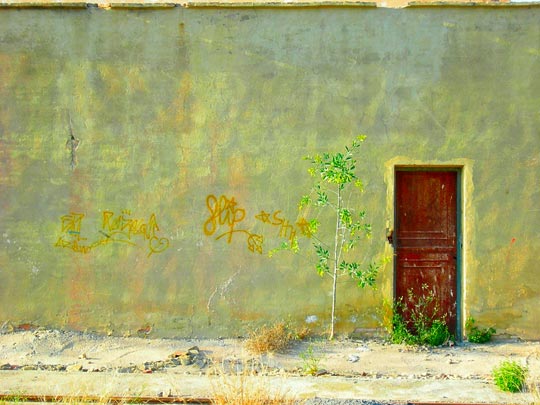  LARA HIDALGO [Valencia] _ ****** 