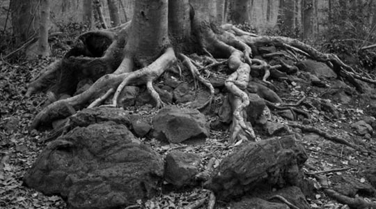  JOSE PALOMO [Sant Boi de Llobregat-Barcelona] _ abrazando al otoño 
