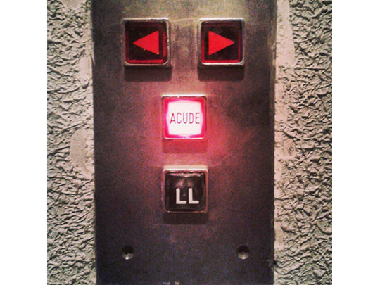  ALICIA FERNÁNDEZ [Madrid] _ acude 