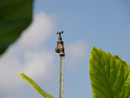  DANY BARELLO [Los Alcázares-Murcia] _ agua clara como el cielo 