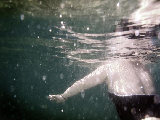  LAURA TOMÉ [Sant Joan Despí-Barcelona] _ al agua patos 
