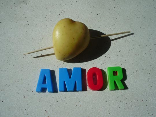  ALBA SALVAT [Barcelona] _ amor patatero 