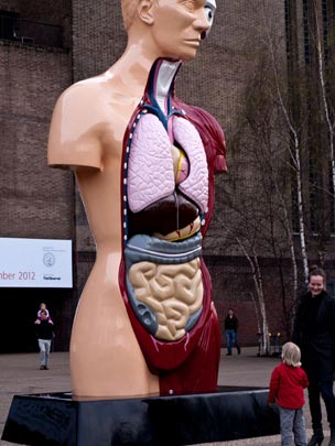  ENCARNACIÓN ALVAREZ [Bilbao] _ anatomy lesson 