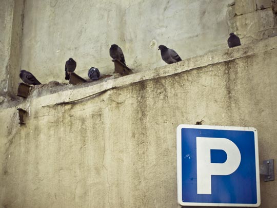  MARÍA GINER [Valencia] _ aparking 