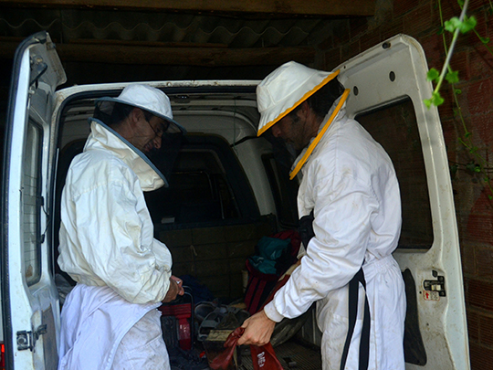  ANGELA LLOP [Torrelles de Foix-Barcelona] _ apicultors 