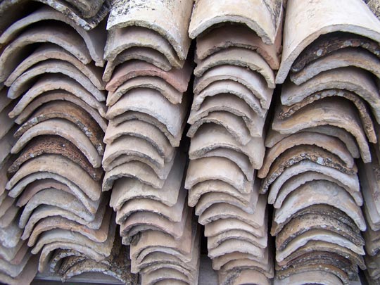  ROSI MUÑOZ [Alhama-Murcia] _ apildadas 