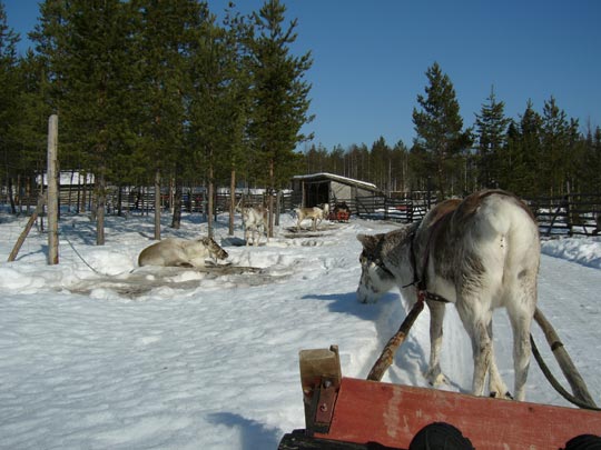  EVA MARÍA PATIÑO [Carballo-A Coruña] _ área de descanso 