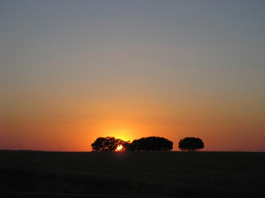  MERITXELL PADRÓS [Barcelona] _ atardecer 