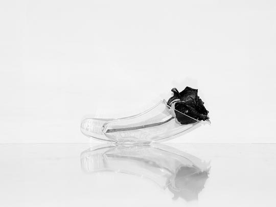  MARIO GÓMEZ [Sabadell-Barcelona] _ black rose 