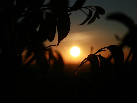  SANDRA COSTA [Castelldefels-Barcelona] _ bon dia 