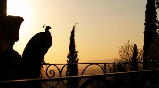  ALFONSO LUCENA [Granada] _ bonitas vistas 