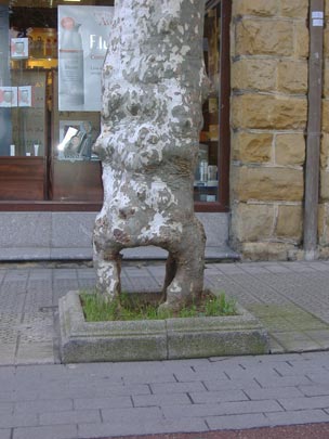  JONE SAITUA [Getxo-Vizcaya] _ boquiabierto 