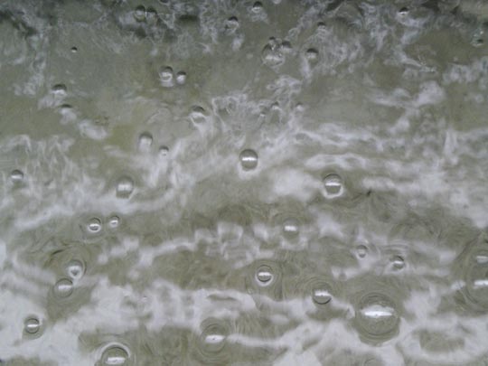  MARIA MILLA [Barcelona] _ bubbles 