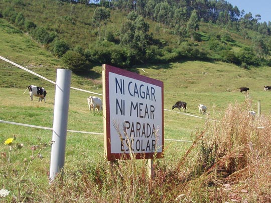  FRANCISCO QUEVEDO [Las Palmas de Gran Canaria] _ bus stop 
