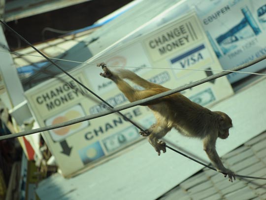  ALBERTO ORTIZ [Laredo-Cantabria] _ buscando un cajero automático 