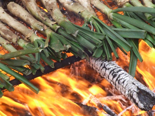  PEP MARTÍ [El Rourell-Tarragona] _ calçotets 