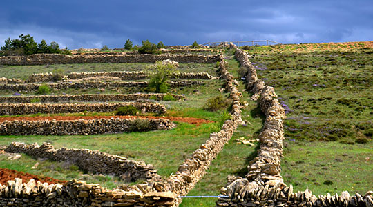  ANGELA LLOP [Torrelles de Foix-Barcelona] _ camí ramader 