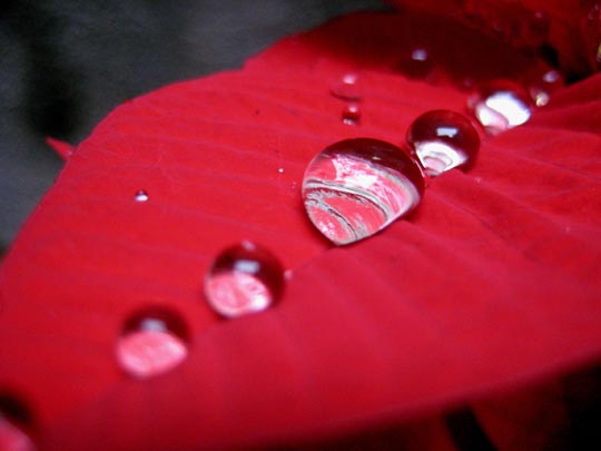  MERITXELL PADRÓS [Barcelona] _ canicas de agua 