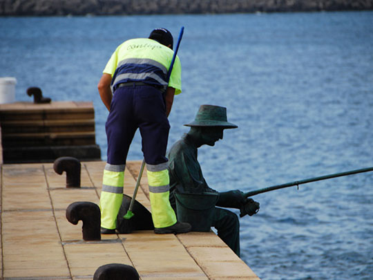  LUIS CAPPELLINI [Las Palmas -Las Palmas] _ cañas 