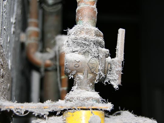  DANI BAUTISTA [Barcelona] _ cariño, pasa la escoba 