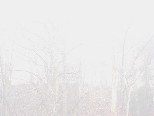  ALBERTO FEIJÓO [Alicante] _ casi na 