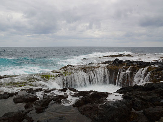  LUIS CAPPELLINI [Las Palmas -Las Palmas] _ charcos 