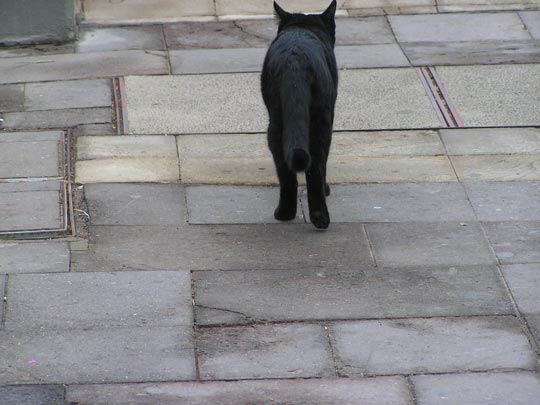  CHARO ROMERO [Alcalá de Guadaira-Sevilla] _ chau 