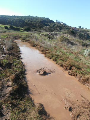  JOSUE HERNANDEZ [La Laguna-Tenerife] _ chocolate 