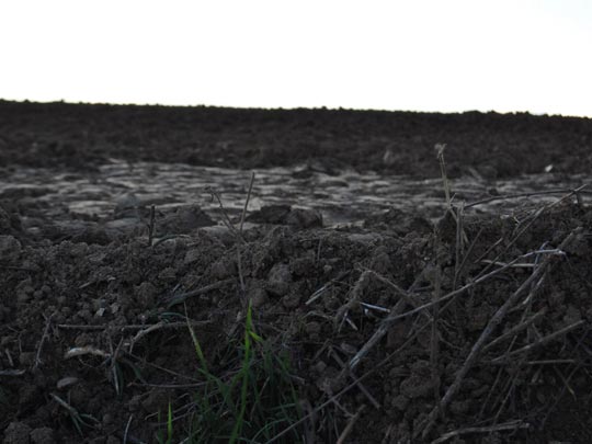  VICTOR DOMINGO [Sentmenat-Barcelona] _ color esperanza 