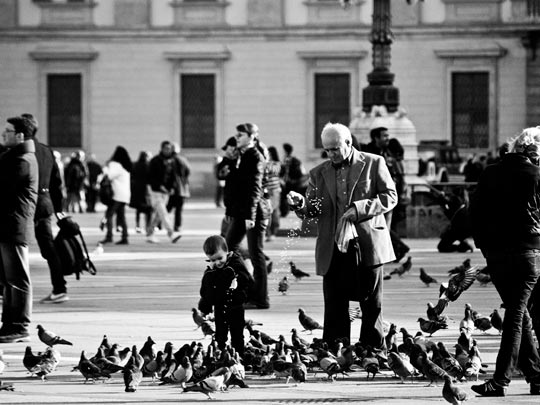  CARLOS FERNÁNDEZ [Alcalá de Henares-Madrid] _ coordinación familiar 