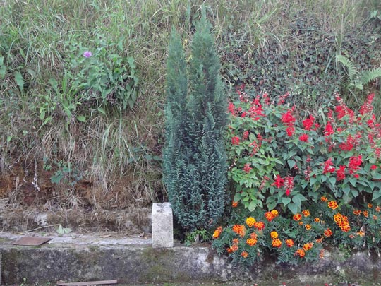  ARIANA SANTAMARIA [Villaviciosa-Asturias] _ crear fronteras 