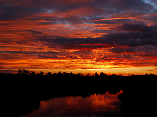  GUILLERMO DÍAZ [Talavera de la Reina-Toledo] _ crepúsculo 