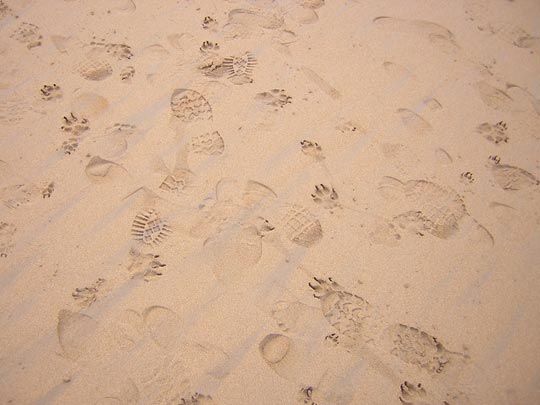 ALEJANDRA VÁZQUEZ [Oviedo-Asturias] _ cruce de caminos 