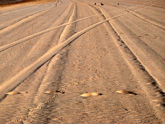  CRISTINA LORENZO [Sevilla] _ cruce de caminos 