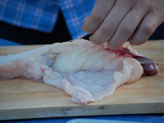  MIRENTXU MARIÑO [Madrid] _ cruda realidad 