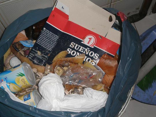  CAROLINA SIERRA [Santander-Cantabria] _ cuando la realidad golpea 