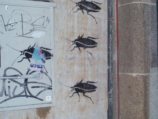  ANA BLANCO [Madrid] _ cucarachas 