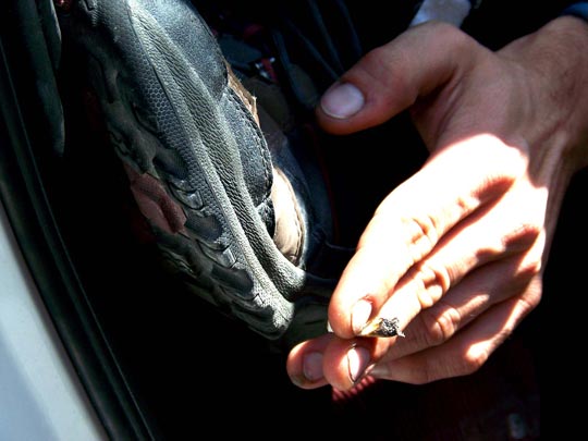  LAURA NOGUÉS [Alicante] _ currante 