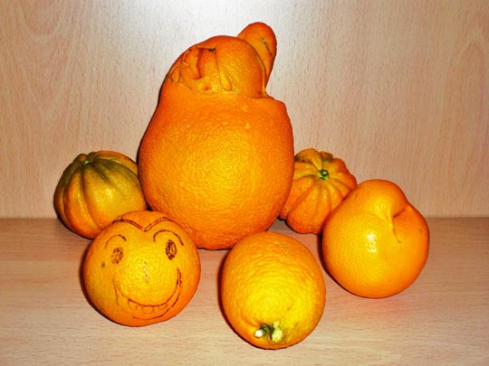  CRISTINA HERNANDEZ [Jaén] _ deformidades, naranjas 