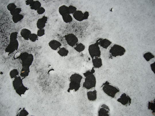  PAULA ARRUTI [Noia-A Coruña] _ dejando huella... 