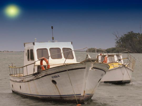  ERNESTO ARADILLA [Cornellà-Barcelona] _ delta de l'ebre 