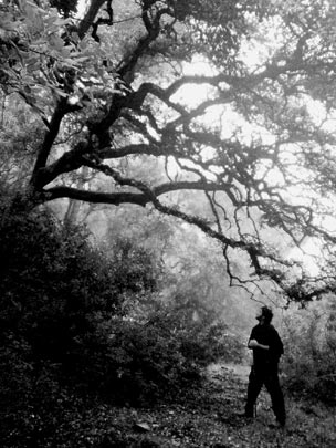  CHEMA RODRÍGUEZ [Córdoba] _ desesperanza 