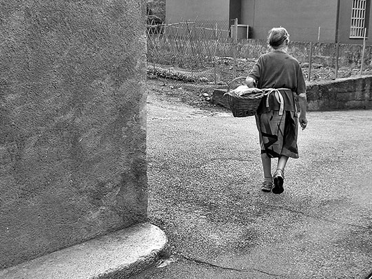  CARME ROURA [Sant Joan de Vilatorrada-Barcelona] _ directa al huerto 