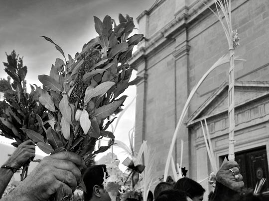  XAVI PIERA [Barcelona] _ domingo de ramos 